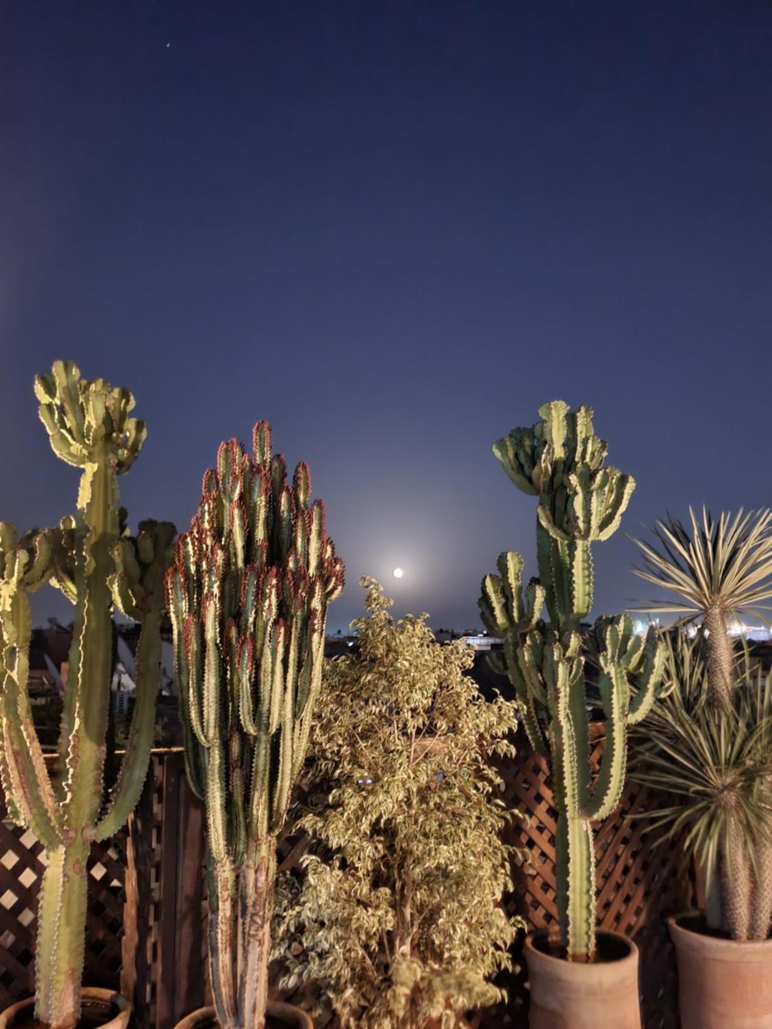 Riad Alma Mouassine Marrakesh Exterior photo